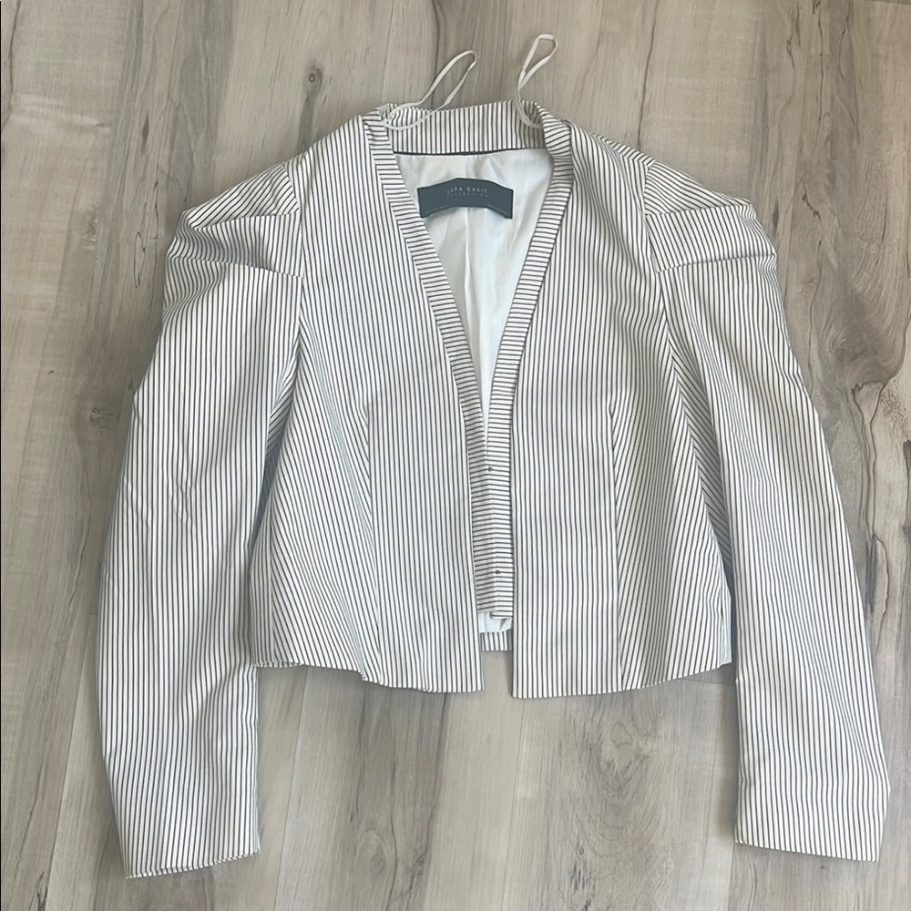 Zara Black and White Striped Blazer